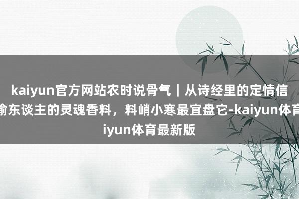 kaiyun官方网站农时说骨气｜从诗经里的定情信物到川渝东谈主的灵魂香料，料峭小寒最宜盘它-kaiyun体育最新版