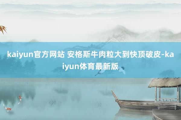 kaiyun官方网站 安格斯牛肉粒大到快顶破皮-kaiyun体育最新版
