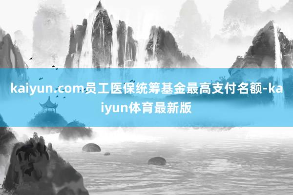 kaiyun.com员工医保统筹基金最高支付名额-kaiyun体育最新版