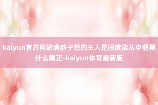 kaiyun官方网站满脑子想的王人是国度能从中获得什么刚正-kaiyun体育最新版