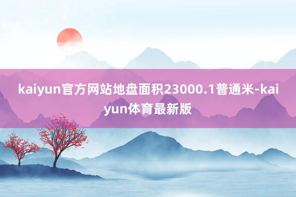 kaiyun官方网站地盘面积23000.1普通米-kaiyun体育最新版